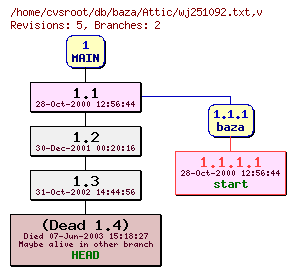 Revision graph of db/baza/Attic/wj251092.txt