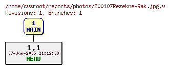 Revision graph of reports/photos/200107Rezekne-Rak.jpg