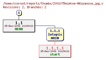 Revision graph of reports/thumbs/200107Rezekne-NKozanova.jpg