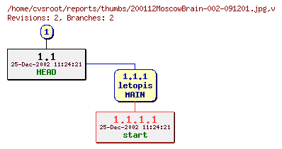 Revision graph of reports/thumbs/200112MoscowBrain-002-091201.jpg