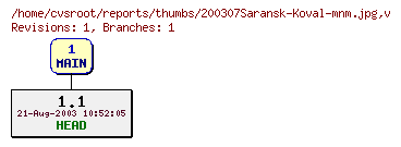 Revision graph of reports/thumbs/200307Saransk-Koval-mnm.jpg