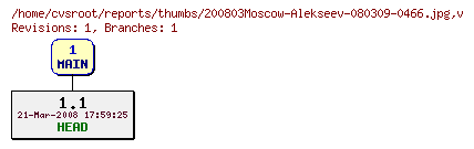 Revision graph of reports/thumbs/200803Moscow-Alekseev-080309-0466.jpg