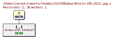 Revision graph of reports/thumbs/201309Dubna-Belkin-IMG_9220.jpg