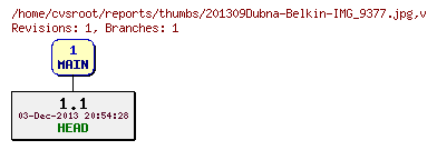 Revision graph of reports/thumbs/201309Dubna-Belkin-IMG_9377.jpg