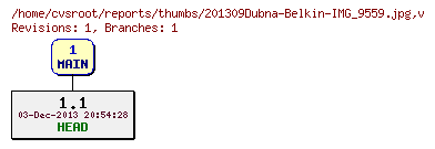 Revision graph of reports/thumbs/201309Dubna-Belkin-IMG_9559.jpg